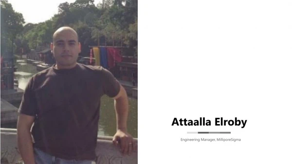 Attaalla Elroby - Engineering Manager From Marblehead, Massachusetts