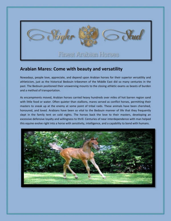 Arabian Mares: Come with beauty and versatility