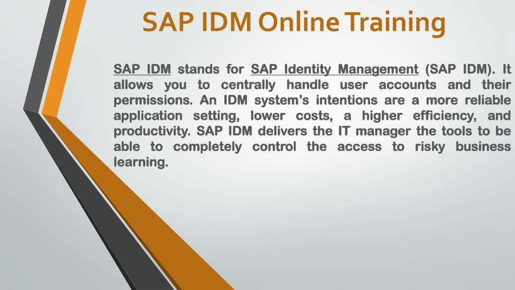 sap idm online training