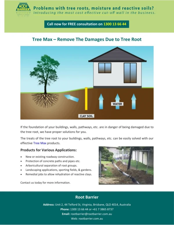 Tree Max – Remove The Damages Due to Tree Root