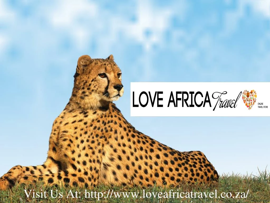 visit us at http www loveafricatravel co za