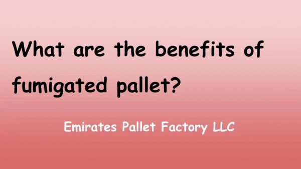 Fumigated Pallet Suppliers in UAE - Emirates Pallet Factory