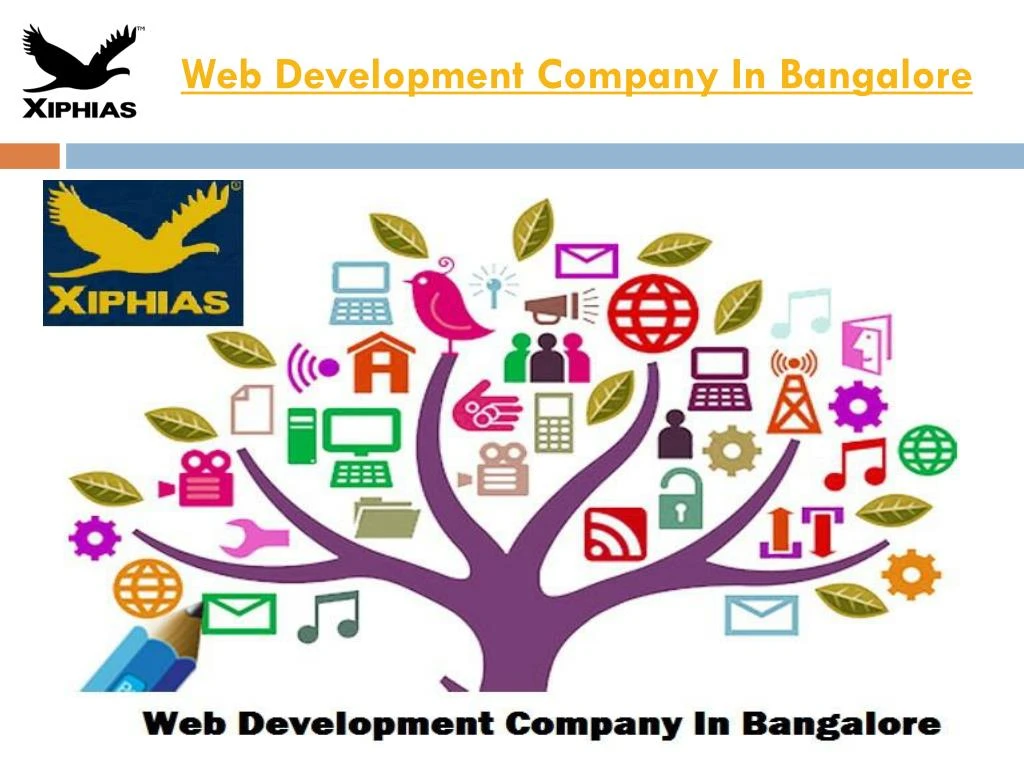 web development company in bangalore