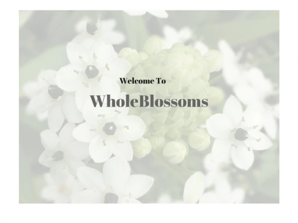 Fall in love at first sight with flowers at WholeBlossoms