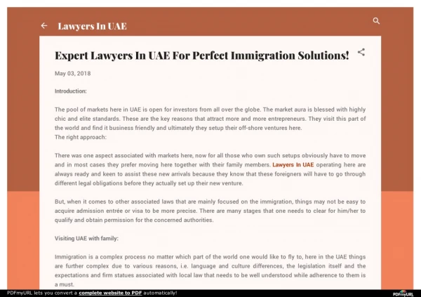 Expert Lawyers In UAE For Perfect Immigration Solutions!