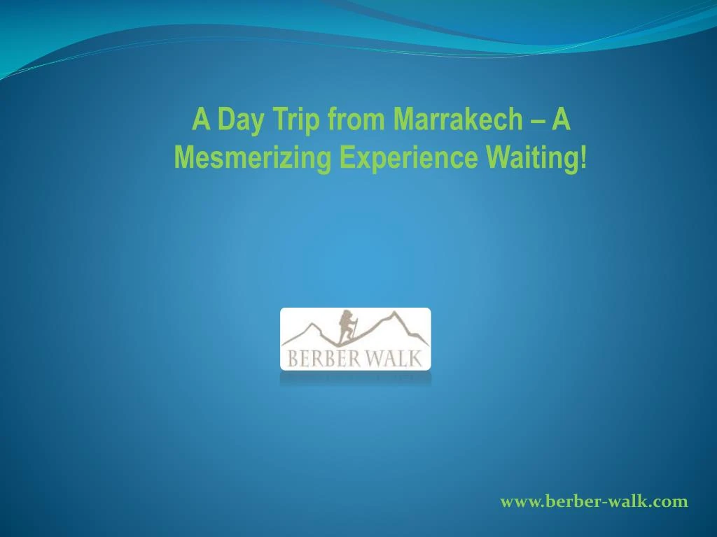 a day trip from marrakech a mesmerizing