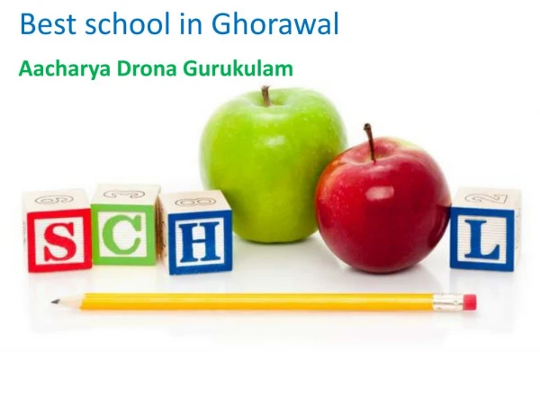 best school in Ghorawal/sonbhadra/Robertsgang/utter pradesh