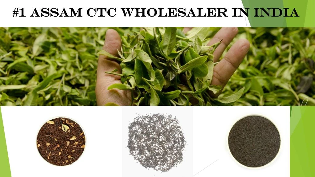 1 assam ctc wholesaler in india