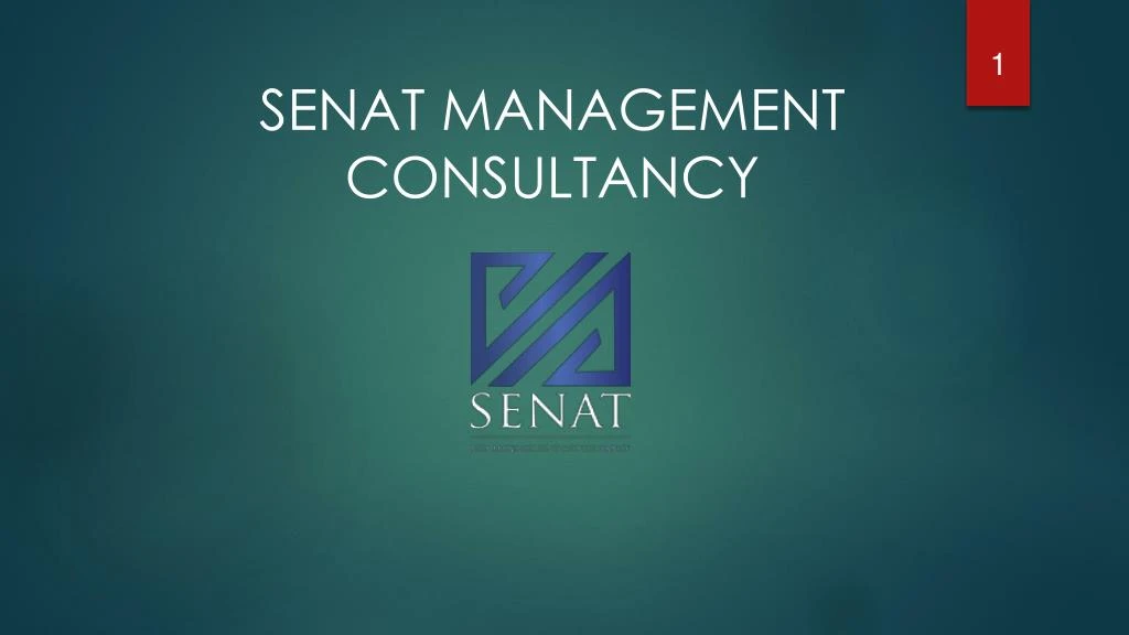 senat management consultancy