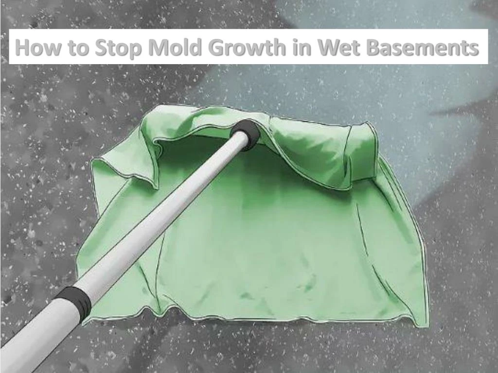 how to stop mold growth in wet basements