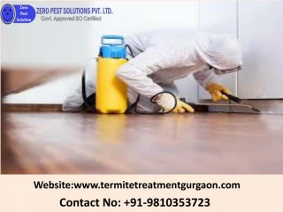 Reliable and Best Pest control Services in Gurgaon - slide 1