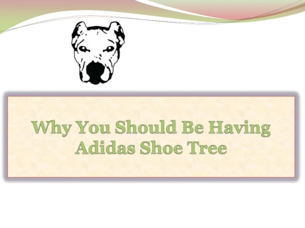 Why You Should Be Having Adidas Shoe Tree