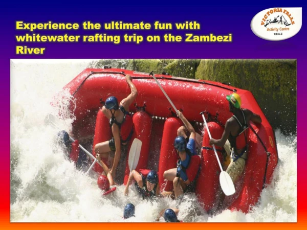 Experience the ultimate fun with whitewater rafting trip on the Zambezi River