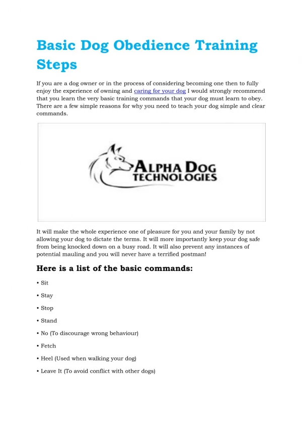 Basic Dog Obedience Training Steps
