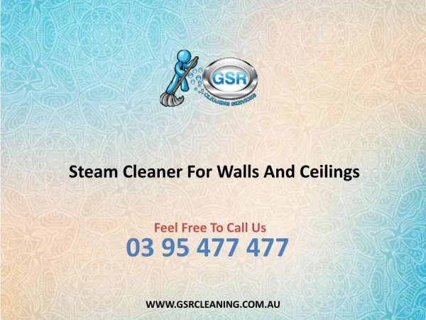 steam cleaner for walls and ceilings
