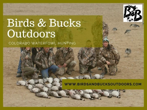 Duck Hunting Guides