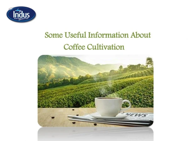 Useful Information About Coffee by Indus Coffee Pvt Ltd