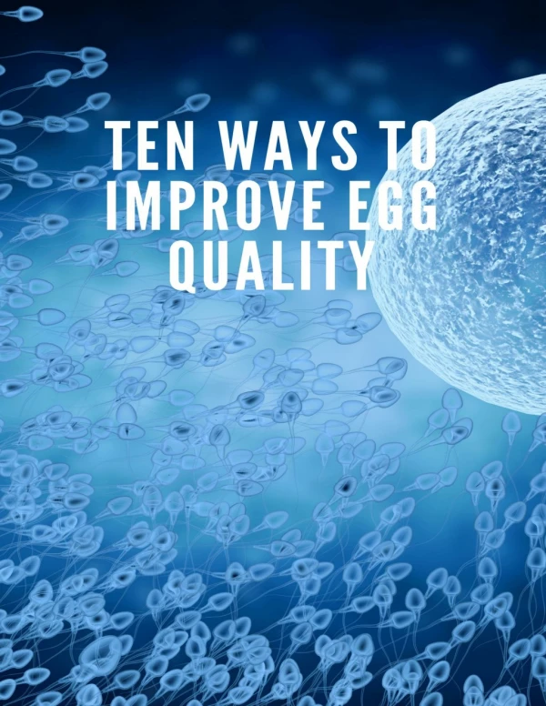 TEN WAYS TO IMPROVE EGG QUALITY