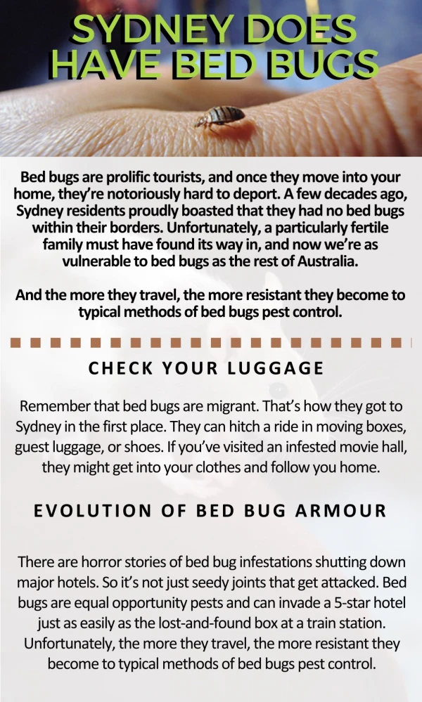 Sydney Does Have Bed Bugs