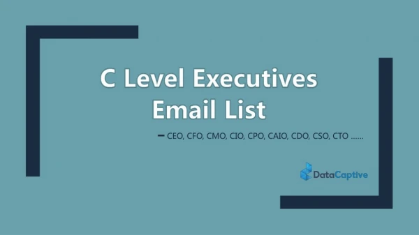 C Level executives email list - C level executives mailing list - C level Executives email database