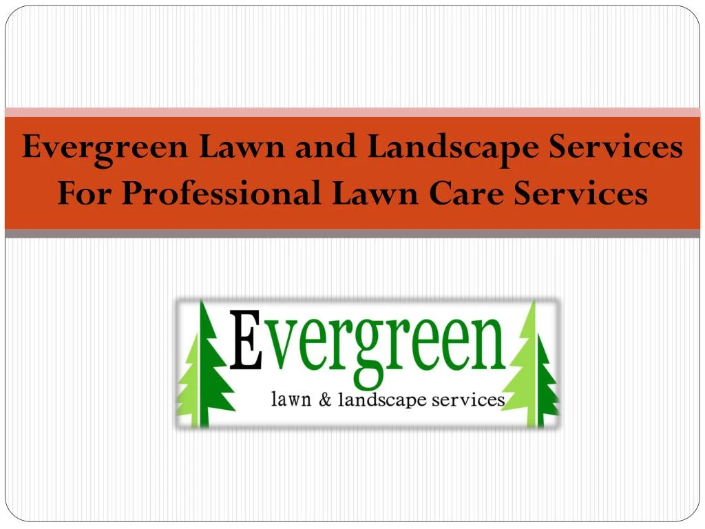 evergreen lawn and landscape services