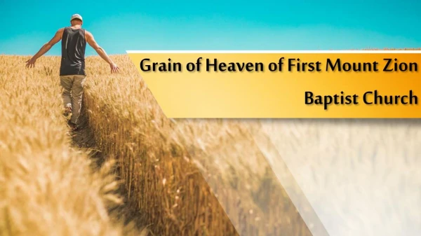 Grain of Heaven of First Mount Zion Baptist Church