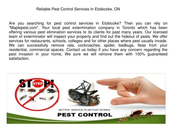 Pest Control Etobicoke