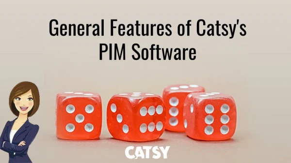General features of Catsy's PIM Software