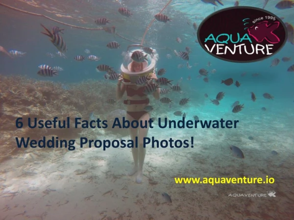 6 Useful Facts About Underwater Wedding Proposal Photos!