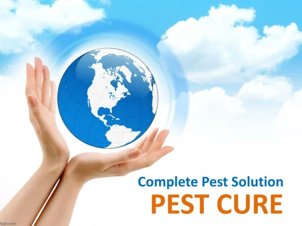 Pest Control Services Delhi-NCR