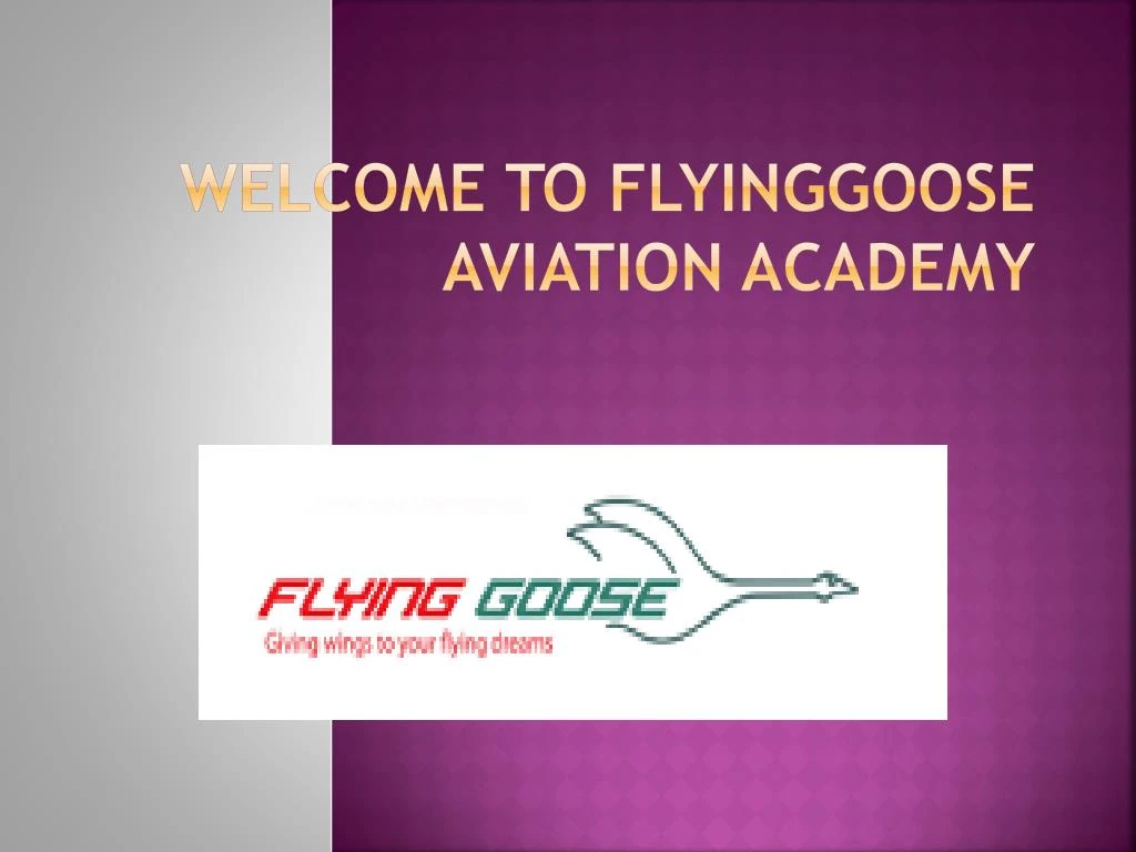 welcome to flyinggoose aviation academy