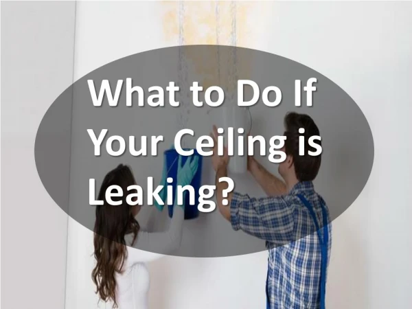 What To Do If Your Ceiling Is Leaking?