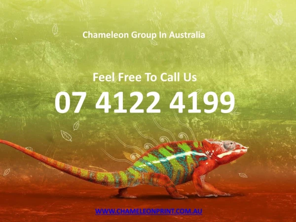 Chameleon Group In Australia