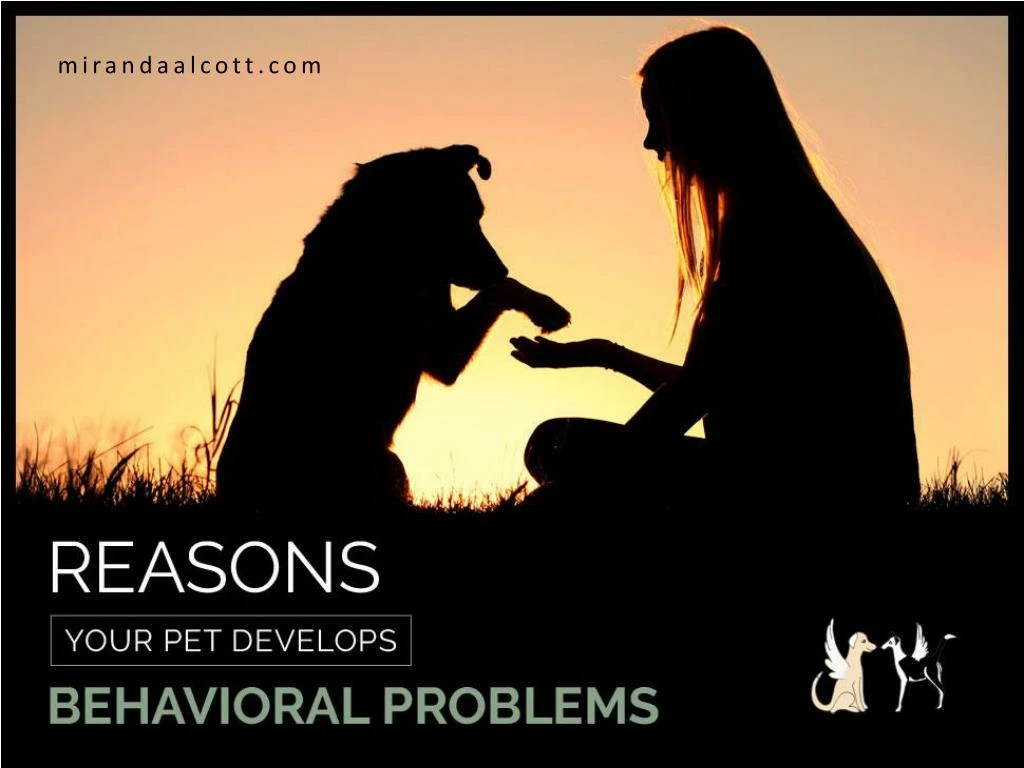 reasons your pet develops behavioral problems
