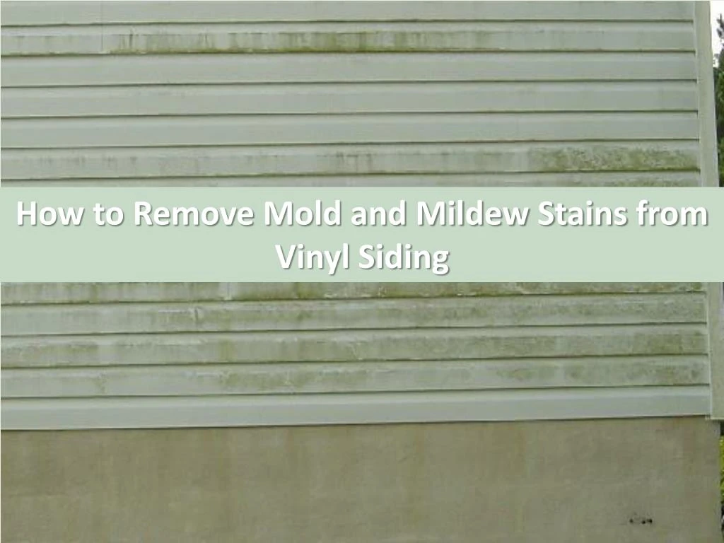 how to remove mold and mildew stains from vinyl