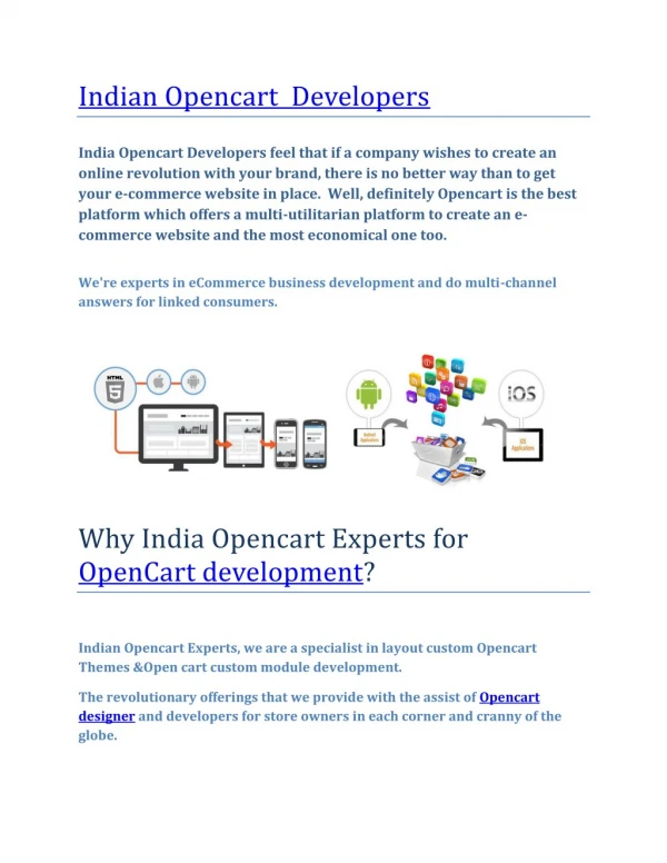 Indian opencart Experts