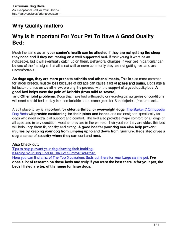 Why A Good Quality Bed Matter For Your Dog