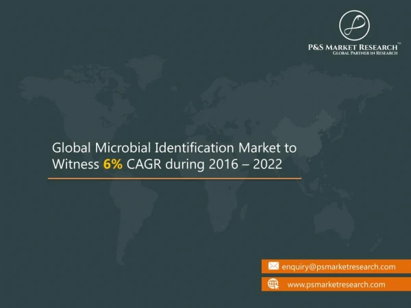 Microbial Identification Research Report 2022