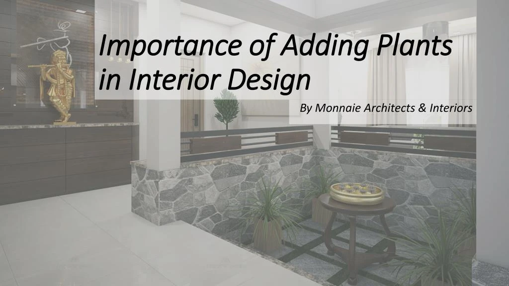 importance of adding plants in interior design