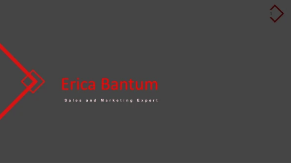 Erica Bantum - Sales and Marketing Professional From Douglasville, Georgia