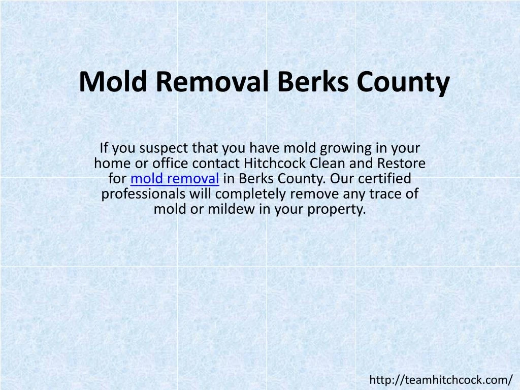 mold removal berks county