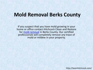 Mold Damage - slide 1
