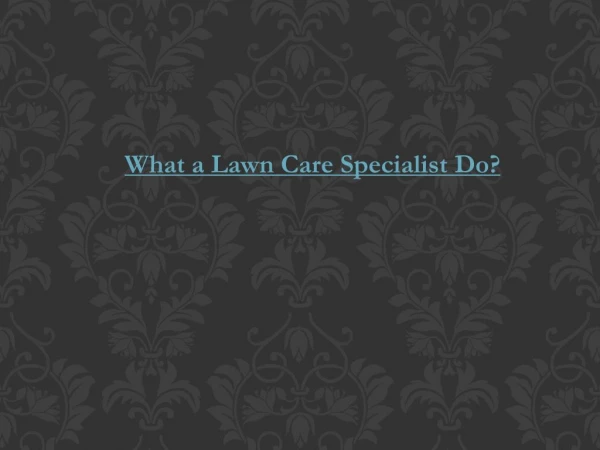 What a Lawn Care Specialist Do?