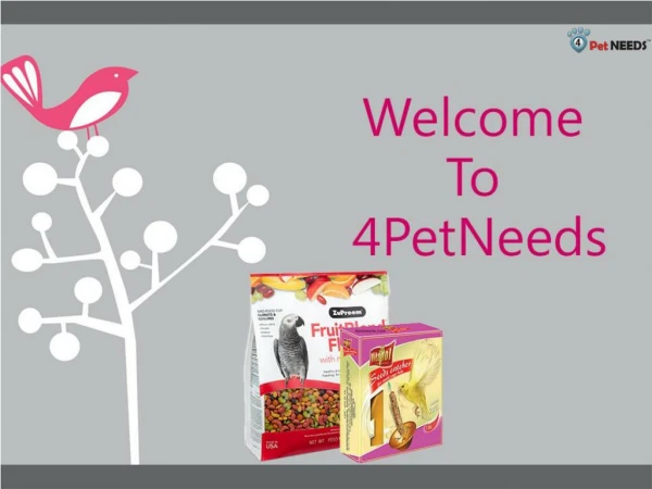 Online Pet Food & Accessories Supplier