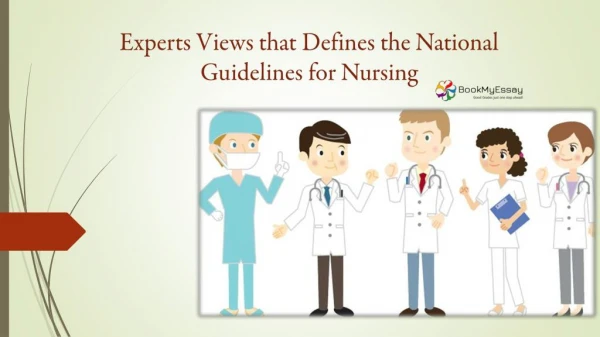 Experts Views About the National Guidelines for Nursing Delegation