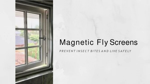 Magnetic Fly Screens- Prevent Insect Bites and Live Safely