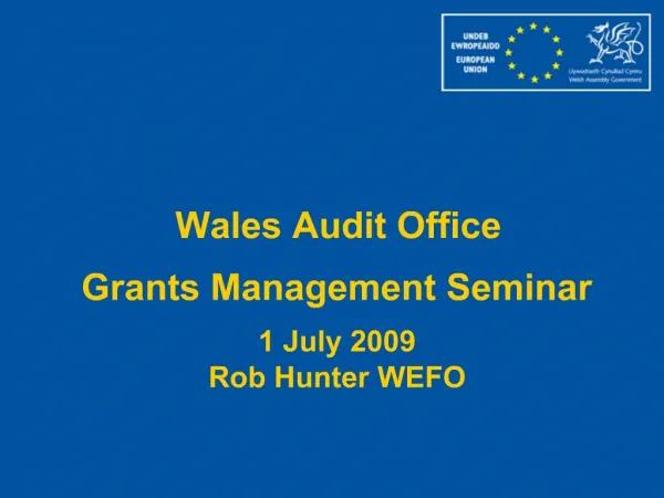 Wales Audit Office Grants Management Seminar 1 July 2009 Rob Hunter WEFO
