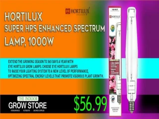The Truth behind Popular Practice of Buying Magic Trimmer - slide 1