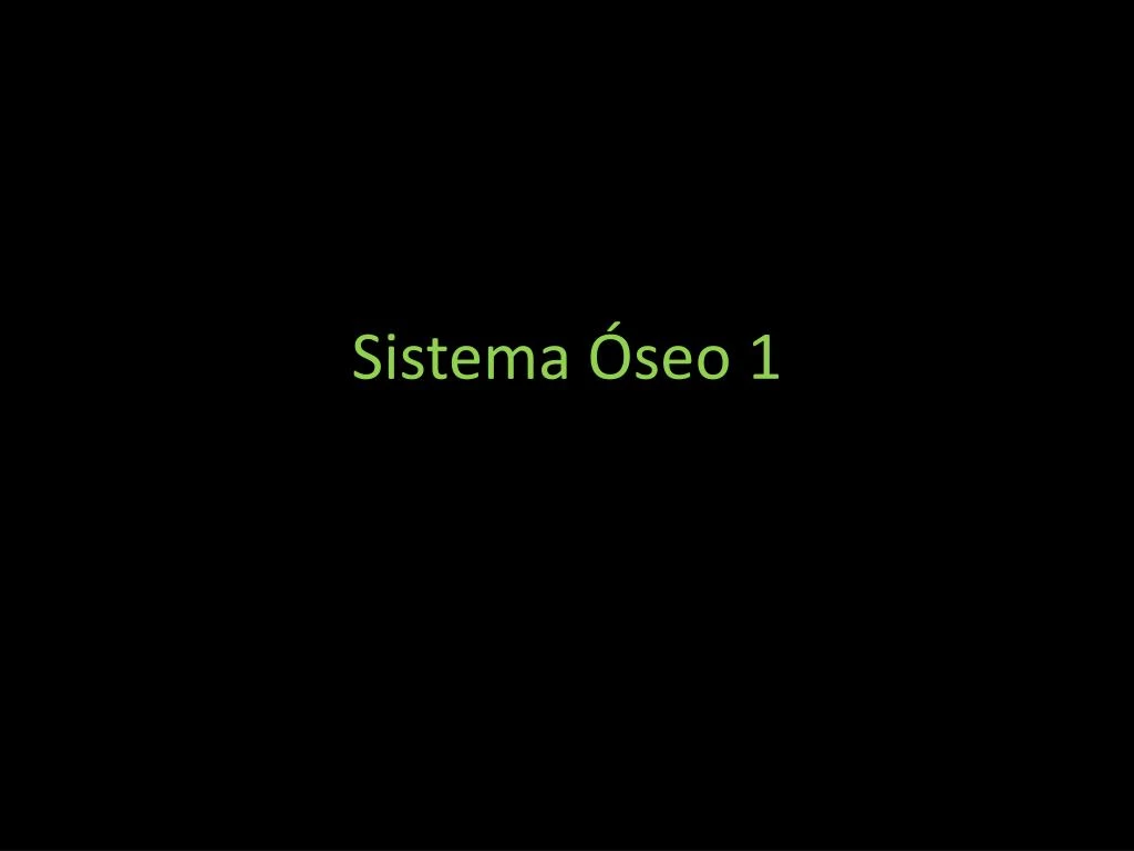 sistema seo 1