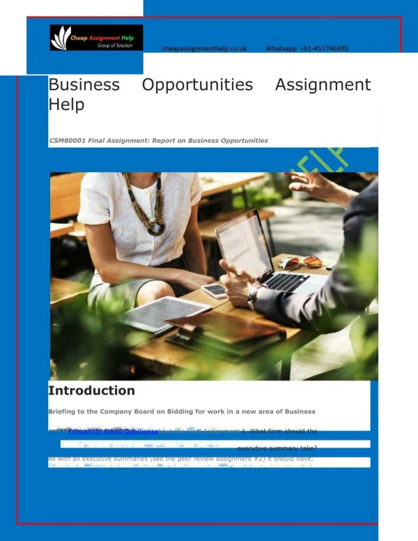 Business Opportunities Assignment Help